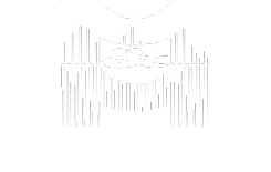 Moldes Woo
