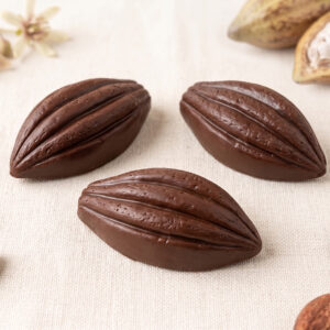 Baya de Cacao Grande