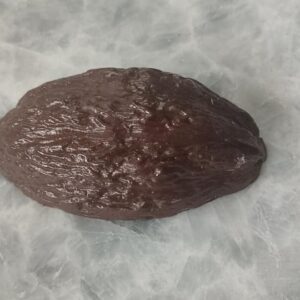 Baya de Cacao Gigante