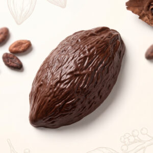 Baya de Cacao Gigante