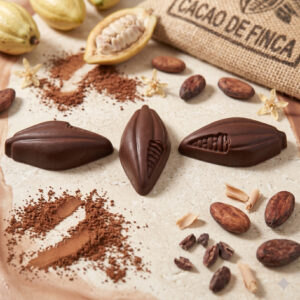 Baya de Cacao Mazorca