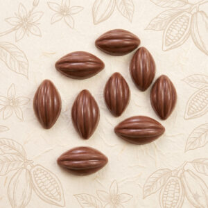Mini Baya de Cacao