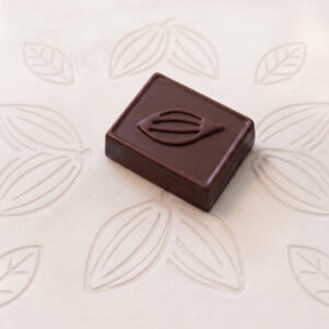 Rectángulo Cacao 9 Gramos